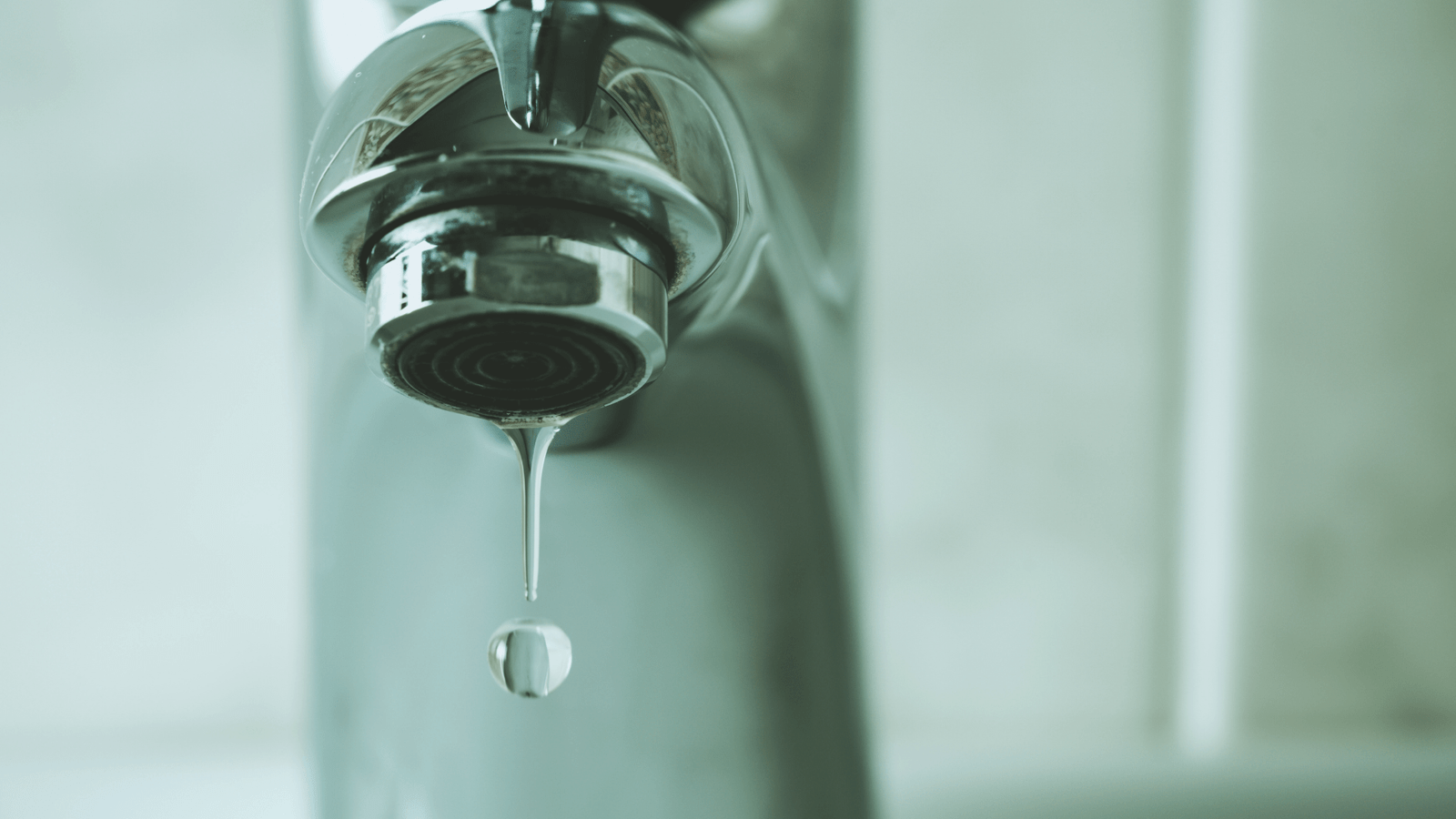 A steady drip of water from a kitchen faucet, highlighting a common household plumbing nuisance.

