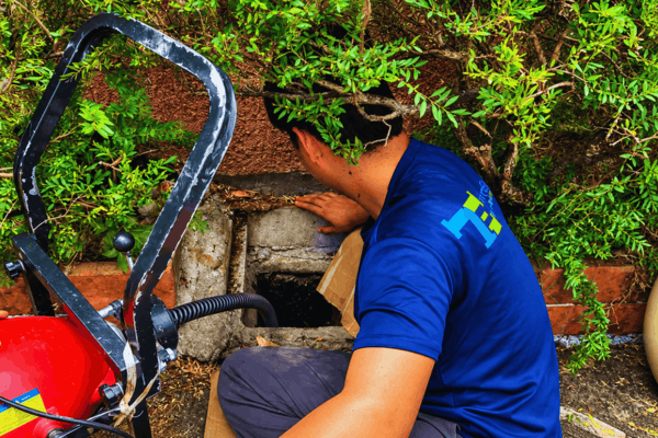 Tubero Experts plumber feeding a drain cleaning machine hose into a garden drain
