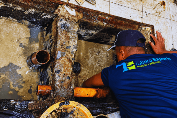 Greasy buildup removed, so kitchen drains keep running smoothly.