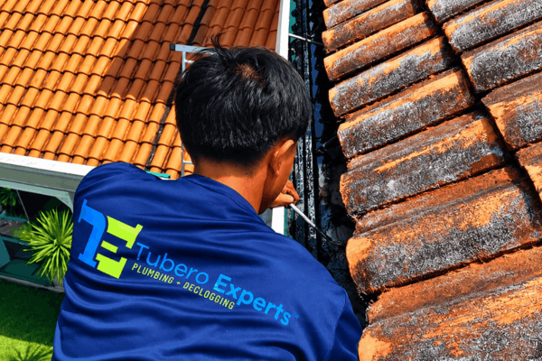 Tubero Experts plumber inspecting weathered clay roof tiles beside a gutter